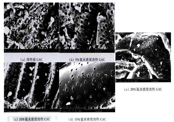 氨水深度对煤质颗粒活性炭表面形貌的影响